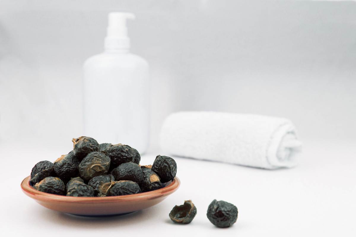 Soapnut